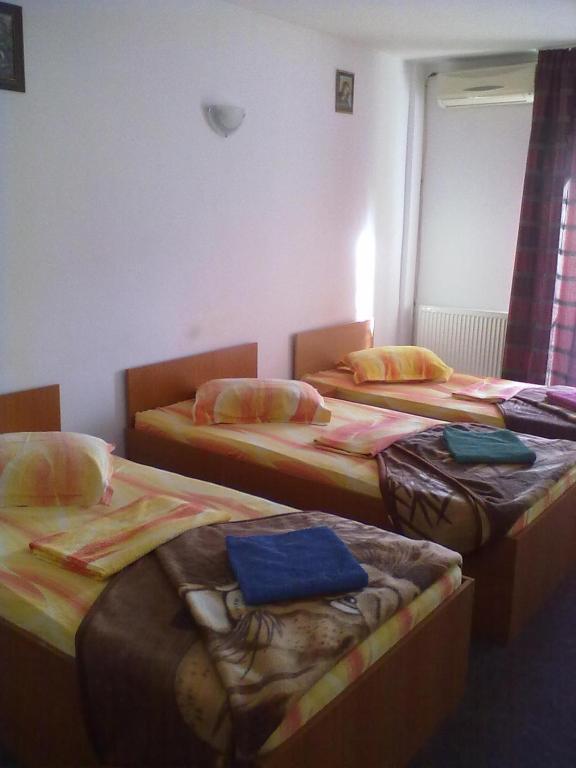 Pensiunea Raffael Otopeni Room photo